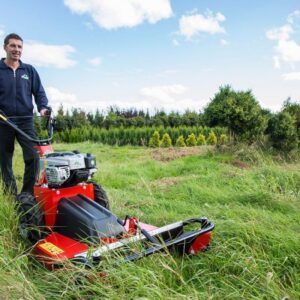 Herkules Wiesenmäher HWM65R / B&S850 – Bild 3