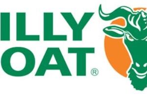 Billy Goat Power-Bläser F 1302 SPH – Bild 8