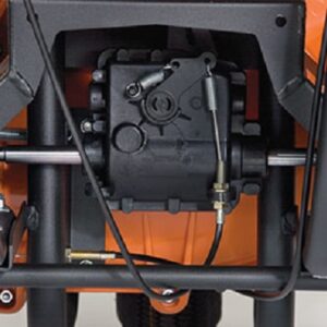 Billy Goat Power-Bläser F 1302 SPH – Bild 3