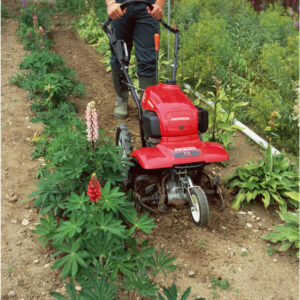 HONDA Benzin-Motorfräse FF 300 – Bild 2