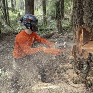 Husqvarna Benzin-Motorsäge 585 – Bild 5