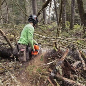 Husqvarna Benzin-Motorsäge 585 – Bild 6