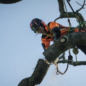 Husqvarna Profi Akku-Motorsäge T542i XP® – Bild 3