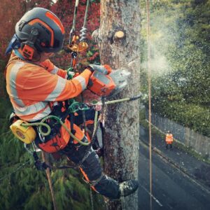 Husqvarna Profi Akku-Motorsäge T540i XP®G - Griffheizung – Bild 7