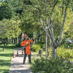 Husqvarna Benzin Hochentaster 525P4S – Bild 2