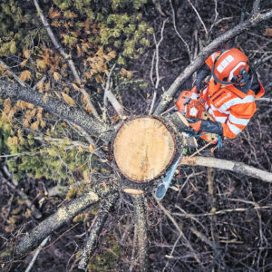 Husqvarna 562 XP Mark II Motorsäge 18" – Bild 2