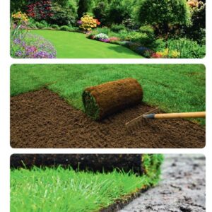 Weibang Sodenschneider WB SC 409 H – Bild 5