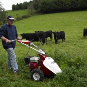 Tielbürger Balkenmäher T60 inkl. ESM Mähbalken 97cm – Bild 4